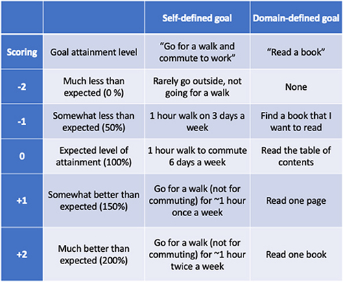 Figure 1 Examples of goal statements from the study.