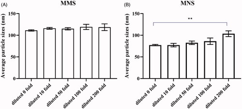 Figure 3. (A) Diluted stability of MMs (diluted 10, 50, 100, 200-fold); (B) diluted stability of MNs (diluted 10, 50, 100, 200-fold). **p < .01.
