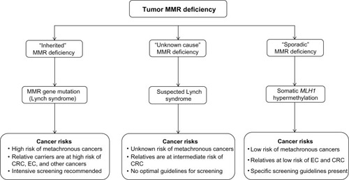 Figure 2 The three groups of tumor mismatch repair (MMR) deficiency.