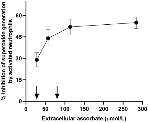 Figure 3. Effect of varying extracellular ascorbate concentrations on scavenging of superoxide produced by activated neutrophils (1 × 106/mL). Arrows indicate the range of normal human plasma ascorbate concentrations (i.e. 22–85 µmol/L) (Institute of Medicine Panel on Dietary Antioxidants and Related Compounds Citation2000). Data is adapted from (Anderson and Lukey Citation1987).