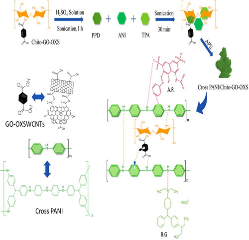 Scheme 1. Illustration of the proposed mechanism for manufacturing Cross PANI/Chito-GO-OXS NCs.