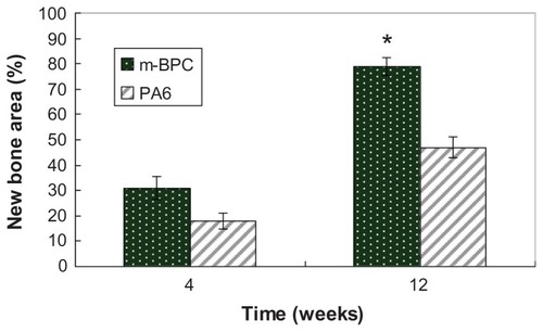 Figure 10 Quantitative analysis of the bone defect area replaced by new bone tissue after mesoporous bioactive glass and polyamide composite scaffolds, and polyamide scaffolds were implanted in vivo for 4 weeks and 12 weeks.Notes: *Statistical analysis: new bone area ratio for m-BPC were significantly higher than PA6 (P < 0.05).Abbreviations: m-BPC, mesoporous bioactive glass and polyamide composite; PA6, polyamide 6.