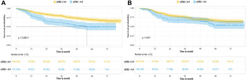 Figure 2 HCC patient Kaplan–Meier curves stratified by APRI in the training cohort (A) and validation cohort (B).