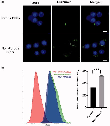 Figure 7. Quantitative measurement of DPPs uptake by flow cytometry. (a) Confocal imaging of FITC-conjugated porous and non-porous DPPs on Raw 264.7 cells. (b) Flow cytometry analysis of FITC-conjugated porous and non-porous DPPs in Raw 264.7 cells. Cells were exposed to 100 µg/ml FITC-conjugated porous and non-porous DPPs for 12 h (*p<.05; **p<.01; ***p<.001). The scale bar equals 10 micrometres.