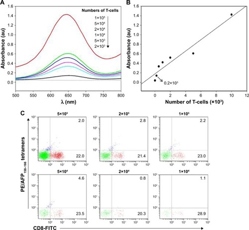 Figure 6 Absorbance peak of AFP158–166-specific T-cells labeled with HRGO/pMHC multimers.Notes: (A) Detection limit of AFP158–166-specific T-cells indicated by UV absorbance spectrum with the HRGO/MHC multimers. (B) The linear calibration curve of the absorbance at 650 nm against T-cells concentration. (C) Detection limit of AFP158–166-specific T-cells indicated by flow cytometry assay. AFP158–166-specific T-cells were diluted to different concentrations and measured with different detection probes.Abbreviations: FITC, fluorescein isothiocyanate; HRGO, hemin reduced graphene oxide; MHC, major histocompatibility complex; pMHC, major histocompatibility complex peptide; UV, ultraviolet.