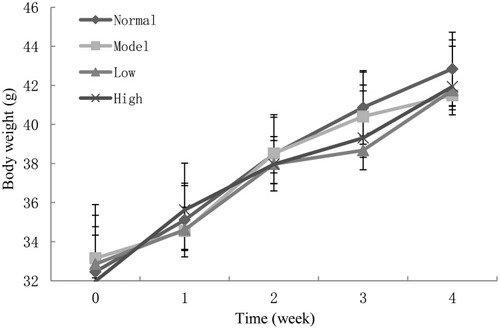 Figure 3 The changes in the weight of mice during the experiment. Low: treated with 2.5×109 CFU/mL KSFY06; High: treated with 2.5×1010 CFU/mL KSFY06.