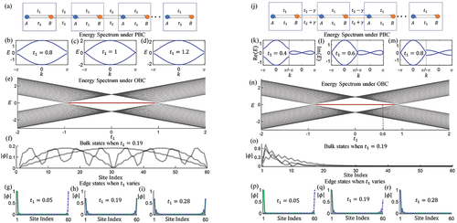 Figure 4. (a) The Hermitian SSH model, its energy spectra under (b-d) PBC and (e) OBC. (f-i) Mode profiles for the bulk and edge states. (j-r) The same as (a-i), only for the non-Hermitian SSH model. The figures are adapted with permissions from Ref [Citation152].