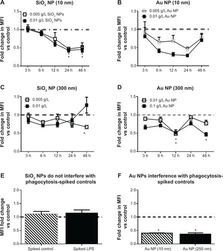 Figure 5 RAW 264.7 cells were exposed to NPs for variable time points after which phagocytosis was performed using opsonized FITC-Escherichia coli bioparticles.Notes: There is a decrease in phagocytosis in RAW 264.7 cells treated with (A) 10 nm SiO2 NPs, (B) 10 nm Au NPs, and (D) 300 nm Au NPs. (C) Although there is a slight decrease in phagocytosis in RAW 264.7 cells treated with 300 nm SiO2 NPs, the decrease is only significant for the 0.005 g/L dose at the 48-hour time point. (E) SiO2 NPs (300 nm) do not interfere with the phagocytosis assay. (F) Au NPs (10 nm and 300 nm) interfered with FITC-E. coli bioparticles phagocytosis assay on flow cytometer. Au NP (0.01 g/L)-spiked controls showed approximately twofold decrease in MFI values versus control cells. Graphs (A–E) show fold change in MFI versus controls (N=6, two independent experiments). *P<0.05 is considered statistically significant as determined by two-way ANOVA followed by Bonferroni post-test (note that two-way ANOVA significance was also identified without post hoc testing).Abbreviations: NPs, nanoparticles; MFI, mean fluorescence intensity; ANOVA, analysis of variance; LPS, lipopolysaccharide; vs, versus; h, hours.