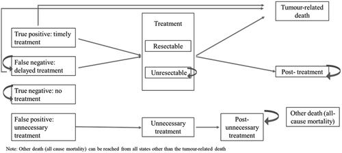 Figure 4. US Markov model diagram.