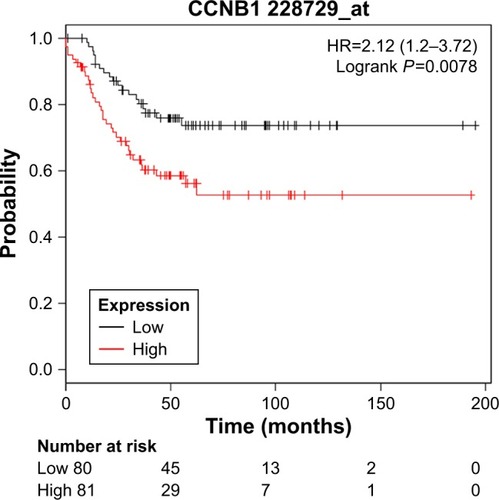 Figure 4 Kaplan–Meier relapse-free survival analyses for CCNB1 expression in TNBC patients.