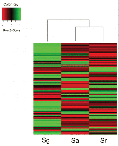 Figure 1. Expression patterns of immune-related gene in the 3 Sinocyclocheilus fishes.
