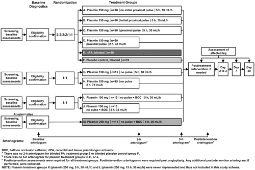 Figure 1. Study schema. Abbreviations. BOC, balloon occlusion catheter; rtPA, recombinant tissue plasminogen activator. aThere was no 2-h arteriogram for blinded rtPA treatment group E or blinded placebo control group F. bThere was no 5-h arteriogram for plasmin groups D, H, or J. cPost-intervention assessments were required for all treatment groups. Post-intervention arteriograms were required post-angioplasty. Any additional post-intervention arteriograms, if performed, were collected. Treatment group A: 5-h infusion at 10 mL/h, 150 mg plasmin in 75 mL, pulse, possible repositioning after 2-h arteriogram without BOC. Treatment group B: 5-h infusion at 15 mL/h, 150 mg plasmin in 75 mL, pulse, possible repositioning after 2-h arteriogram without BOC. Treatment group C: 5-h infusion (30 mL/h), 150 mg plasmin in 150 mL, pulse, possible repositioning after 2-h arteriogram without BOC. Treatment group D: 2-h infusion at 35 mL/h, 150 mg plasmin in 75 mL, pulse, without BOC. Treatment group E: the rtPA dose, volume, and infusion rate were administered according to the clinical judgment of the investigator. Placebo control group F: the placebo volume matched the equivalent rtPA volume according to the clinical judgment of the investigator. Treatment group G: 5-h infusion at 60 mL/h, 150 mg plasmin in 300 mL, no pulse, no repositioning without BOC Treatment group H: 2-h infusion at 75 mL/h, 150 mg plasmin in 50 mL, no pulse, without BOC. Treatment group I: 5-h infusion at 30 mL/h, 150 mg plasmin in 150 mL, no pulse, with BOC. Treatment group J: 2-h infusion at 35 mL/h, 150 mg plasmin in 70 mL, no pulse, with BOC. Treatment group M: 5-h infusion at 30 mL/h, 250 mg plasmin in 150 mL, no pulse, with BOC. NOTE: Plasmin groups K (250 mg plasmin, 5-h infusion at 30 mL/h) and L (250 mg plasmin, 15-h infusion at 30 mL/h) were never implemented and, thus, not included in this study schema.