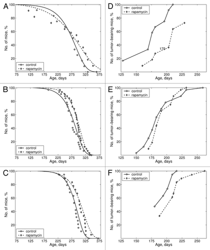 Figure 2. Effects of rapamycin on life span and tumor incidence. (A–C) Effects of rapamycin on mice survival. (D and E) Effects of rapamycin on tumor yield curves. (A and D) Upper panel (groups C-2 and Rap-2): treatment was started at the age of 2 mo. (B and E) Middle panel (groups C-4 and Rap-4): treatment was started at the age of 4 mo. (C and F) Middle panel (groups C-5 and Rap-5): treatment was started at the age of 5 mo.