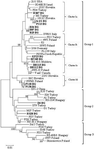 Figure 2. Phylogenetic tree based on nucleotide sequences of the coat protein of PDV cherry isolates from Bulgaria and other isolates available in the GenBank database. The tree was produced using the NJ algorithm option of MEGA6 [17]. Bootstrap analysis of 500 replicates was performed. The scale bar shows the number of substitutions per nucleotide. The analyzed isolates from Bulgaria are in boldface and noted with the abbreviation BG.