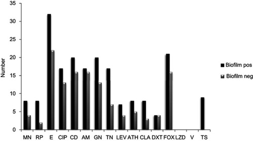 Figure 2 Comparison of antimicrobial susceptibilities between biofilm and nonbiofilm producing S. epidermidis isolated.Abbreviations: AM, amikacin; GN, gentamicin; FOX, cefoxitin; CIP, ciprofloxacin; E, erythromycin; T, tetracycline; TS, sulfamethoxazole-trimethoprim; ATH, azithromycin; CLA, clarithromycin; LZD, linezolid; RP, rifampin; DXT, doxycycline; MN, minocycline; TN, tobramycin; CD, clindamycin; Lecv, levofloxacin; V, vancomycin; Biofilm pos, biofilm positive; Biofilm neg, biofilm negative.