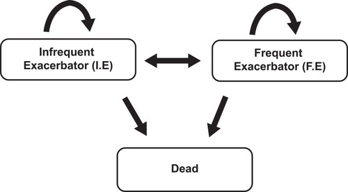 Figure 1 Schematic of the model structure used.