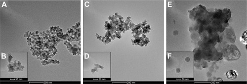 Figure 2 TEM images of synthetic SiNPs in dry form (A, B), dispersed in water (C, D), and dispersed in DMEM containing 10% FBS (E, F).Notes: SiNPs are shown to have a tendency to form aggregates, dependently on the dispersion medium. The biggest agglomerates with the largest particles are present in DMEM. Representative images from the FEI Tecnai G2 X-Twin microscope are shown. Magnifications: 34,000× (A, C, E) and 130,000× (B, D, F).Abbreviations: TEM, transmission electron microscopy; SiNPs, silicon dioxide nanoparticles.