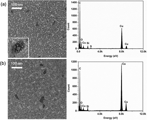 Figure 8. TEM/EDS analyses of tire nanoparticles at reaction temperatures of (a) 150°C and (b) 300°C.