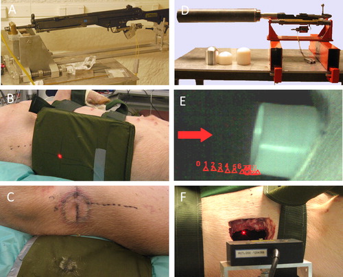 Figure 3. A. photo of the 7.62 mm assault rifle in its experimental rig. B. photo of ceramic armor plate placement. Red dot marks point of projectile impact. C. photo of imprint of the skin after BABT and imprint in the ceramic plate. D. photo of the 65 mm BABT-simulator in its experimental rig. E. high speed camera photo of 65 mm projectile impacting the thoracic wall. F. photo of thoracic wall in swine with removed internal organs, with hole for measuring of the inside chest wall movement. Red dot is the reflection of the laser measurement beam on the inside of the thoracic wall.