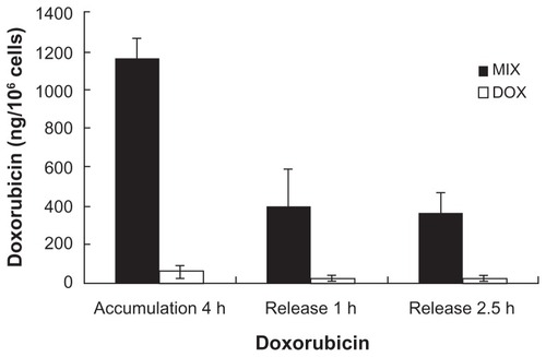 Figure 2 Intracellular doxorubicin in A549 cells.Notes: Doxorubicin uptake into A549 tumor cells after incubation with composite doxorubicin-loaded micelles or free doxorubicin for 4 hours, then compounds removed for one hour and 2.5 hours. Accumulation 4 hours: A549 cells incubated in composite doxorubicin-loaded micelles or free doxorubicin for 4 hours; release one hour. A549 cells incubated in composite doxorubicin-loaded micelles or free DOX for 4 hours, then compounds removed for one hour; release 2.5 hours, A549 cells incubated in composite doxorubicin-loaded micelles or free doxorubicin for 4 hours, then compounds removed for 2.5 hours.Abbreviations: DOX, free doxorubicin; MIX, composite doxorubicin-loaded micelles.