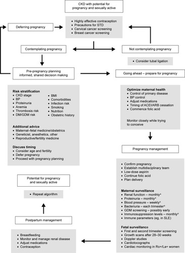 Figure 1 Algorithm for pregnancy care in women with CKD.