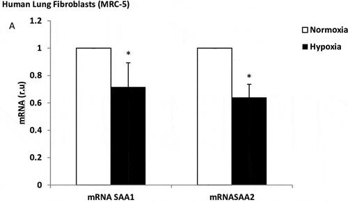 Figure 4. Effect of hypoxia on SAA expression in lung fibroblasts. mRNA expression of SAA1 and SAA2 produced by human lung fibroblasts, in normoxia (white bars) and stimulated with hypoxia (black bars). r.u. = Relative units versus control; *p < 0.05 versus normoxia. Each bar in the figure is mean± SE n = 6.