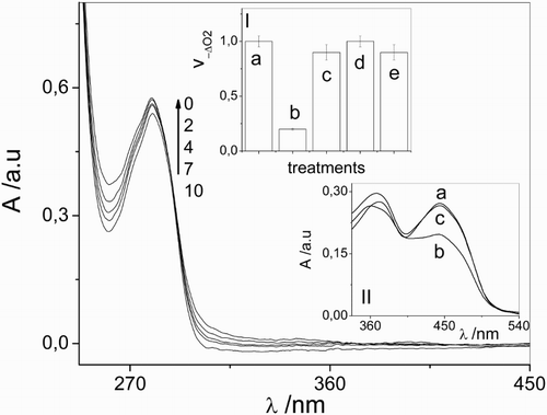 Figure 1 Spectral changes of 0.1 mM vancomycin + 0.02 mM riboflavin vs. 0.02 mM riboflavin upon visible light photoirradiation in aqueous solution at pH 7.4. The numbers on the spectra represent irradiation time in min. Inset I: Relative rates of oxygen uptake (v−ΔO2) of: (a) 0.02 mM riboflavin + 0.5 mM vancomycin; (b) 0.02 mM riboflavin + 0.5 mM vancomycin + 1 mM sodium azide; (c) 0.02 mM riboflavin + 0.5 mM vancomycin + 1 mg/100 ml superoxide dismutase; (d) 0.02 mM riboflavin + 0.5 mM vancomycin + 10 mM d-mannitol; (e) 0.02 mM riboflavin + 0.5 mM vancomycin + 1 mg/100 ml catalase. Inset II: Spectral changes in Argon-saturated solution of 0.02 mM riboflavin upon visible light photoirradaition (a) without vancomycin and non-irradiated; (b) without vancomycin, 5 minutes irradiation; (c) in the presence of 0.5 mM vancomycin, 5 minutes irradiation. Solvent: aqueous solution at pH 7.4.