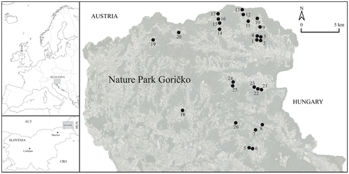 Figure 1. Geographic position of Slovenia in Europe (top left) and the research area of Goričko Natural Park in NE Slovenia (bottom left). The 26 sampled Spiranthes spiralis localities are within the Goričko Natural Park (right).