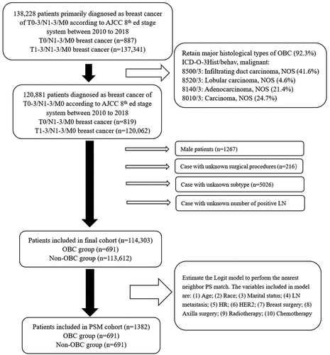 Figure 1. Flowchart of patient selection and study development.