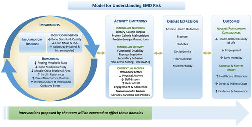 Figure 1. A model for understanding EMD risk and the adverse outcomes of EMD expression over the course of an individual’s lifetime.