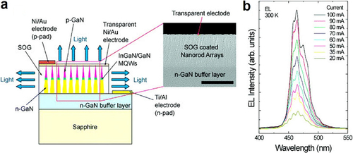 Figure 20. (a) Schematic representation of fabricated InGaN/GaN MQW nanorod array and is associated using SEM image (right), (b) observed EL characteristic spectrum using fabricated InGaN/GaN MQW nanorod array LED. Figures reproduced with permission from Ref. [Citation177], Copyright © 2004, American Chemical Society.