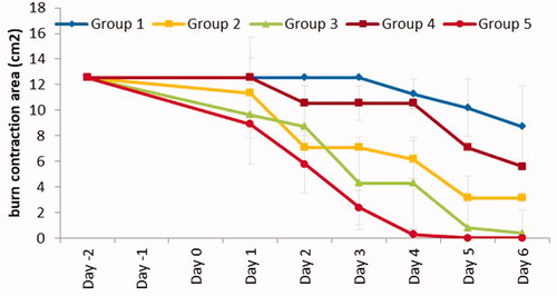 Figure 8. Burn area contraction (cm2) of tested groups. Group 1: no treatment, group 2: cinnamon oil, group 3: NLC-cinnamon oil colloid, group 4: NLC blank gel, and group 5: NLC-cinnamon oil gel (p<.0001).