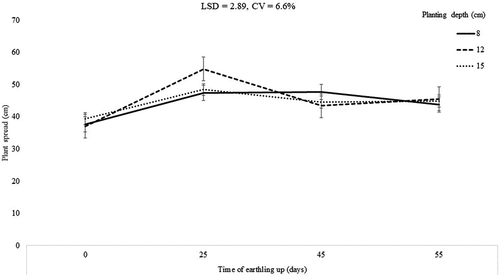 Figure 4. Interaction effect of planting depth and time of earthing up on potato plant spread.