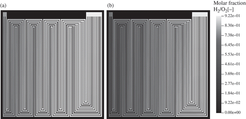 Figure 6. Molar fraction of H and O in the flow-field channels ((a) anode, (b) cathode).