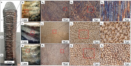 Figure 4. Heat-treated microstructure. (a) Side view of the M250 wall showing different sections and locations of the sample extracted from the wall for microstructural analysis; (b, b1, b2, b3) Microstructure in the top section of the M250 wall at different magnifications; (c, c1, c2, c3) Microstructure in the middle section of the M250 wall at different magnifications; (d, d1, d2, d3) Microstructure of the bottom section of the M250 wall at different magnifications.