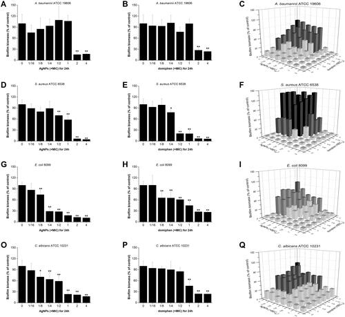 Figure 9 The control group and different concentrations of AgNPs and domiphen group eradicate the pathogenic biofilm. And AgNPs combined with domiphen to eradicate biofilm.