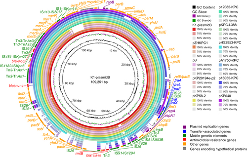 Figure 1 Circular map between plasmid B and the 10 comparative plasmids investigated in this study. The outermost circle represents plasmid B. Protein-coding sequences are denoted by arrows.