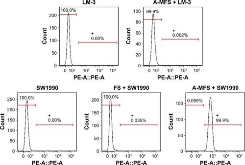 Figure 5 Flow cytometry.Note: MSLN expressed on the surface of SW1990.Abbreviations: A-MFS, Fe3O4@SiO2 modified with anti-mesothelin antibody; FS, Fe3O4@SiO2; MSLN, mesothelin; PE-A, Phycoerythrin-Conjugated Antibody.