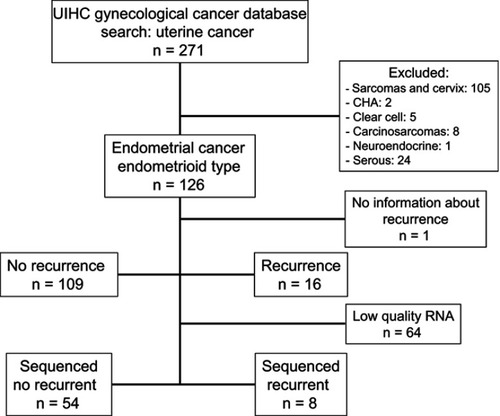 Figure 1 Flow chart of patients included in the UIHC endometrial cancer study cohort. There were 126 patients with endometrial cancer, endometrioid type. 62 had sufficient quantity and quality of purified RNA for RNA sequencing.Abbreviation: CHA, complex endometrial hyperplasia with atypia; UIHC, University of Iowa Hospitals and Clinics.