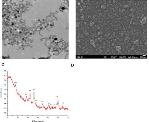 Figure 1 (A) Transmission electron microscopy micrograph of MONPs. (B) Scanning electron micrograph of MONPs. (C) X-ray powder diffraction patterns of MONPs and (D) Fourier-transform infrared spectra of MONPs.Abbreviation: MONPs, manganese oxide nanoparticles.