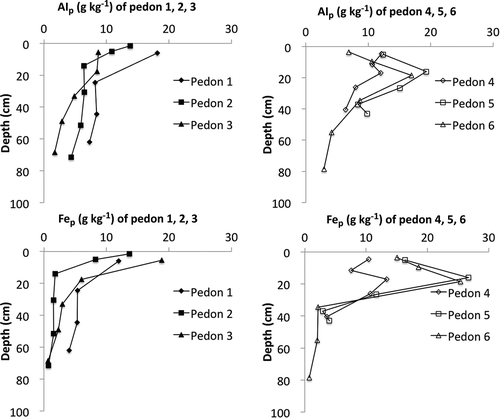 Figure 3 Vertical distributions of pyrophosphate-extractable aluminum (Alp) and iron (Fep).