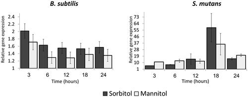 Figure 3. Relative expression of gutB and mtlD genes during bacterial growth in the presence of sugar alcohols. B. subtilis or S. mutans cells were grown in TY medium with or without 50 mM of either sorbitol or mannitol. At each time point, a sample was taken for RNA extraction and relative gene expression was determined by real-time RT-PCR. In both bacteria, the genes were up-regulated in the presence of the sugars; up-regulation was lower in B. subtilis than in S. mutans. Expression results present mean ± SD of two independent experiments each performed in triplicate.