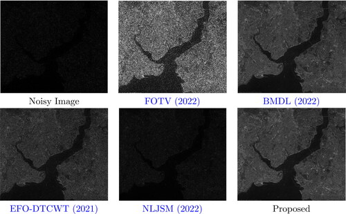 Figure 7. Airbus1 image corrupted with G0 noise, after denoising with the proposed algorithm and other conventional algorithms.