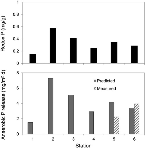 Figure 6. Variations in redox-P (i.e., the sum of the loosely-bound P and iron-bound P fractions) in the surface sediment (upper panels) and predicted (Nürnberg Citation1988) and measured anaerobic diffusive P flux at various stations in Lake McCarrons.