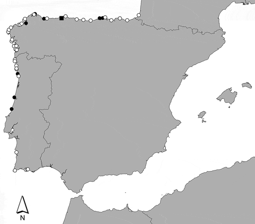 Fig. 1. Map showing the distribution of Calliblepharis hypneoides along the Atlantic Iberian Peninsula. The black square indicates the type locality and black circles indicate the sites where material was collected for DNA analysis.