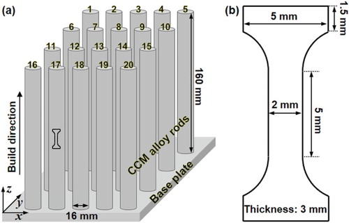 Figure 1. Schematic drawing of (a) cylindrical rods fabricated by the EBM process and (b) dog-bone-shaped specimen for fatigue tests.