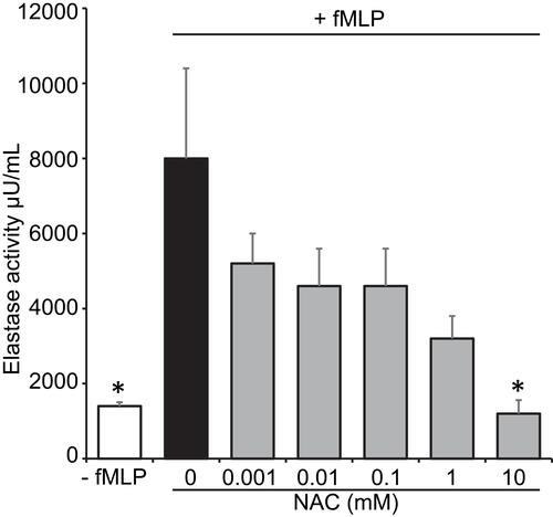 Figure 3 The effect of 30 min incubation of neutrophils with different NAC concentrations on the fMLP (10−7 M induced release of elastase by neutrophils in vitro. *p<0.05 when compared to the preincubation without NAC. Reprinted from Pharmacological Research, 53, Sadowskaa AM, Manuel-y-Keenoy B, Vertongen T, et al. Effect of N-acetylcysteine on neutrophil activation markers in healthy volunteers: In vivo and in vitro study. 216–225, Copyright (2006), with permission from Elsevier.Citation28