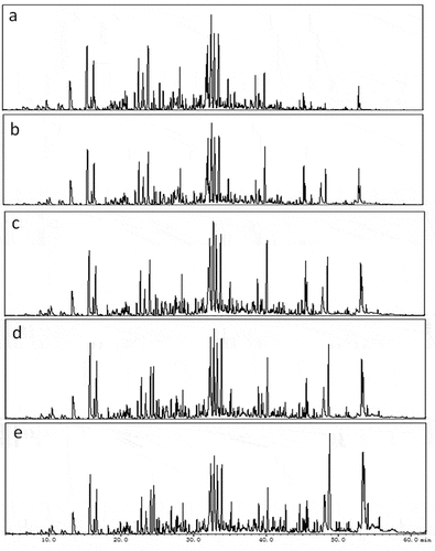 Figure 1. GC-MS total ion chromatograms of volatile compounds in fermented chopped peppers (a: raw materials, b–e: 6,12,18, and 24 d of fermentation, respectively)