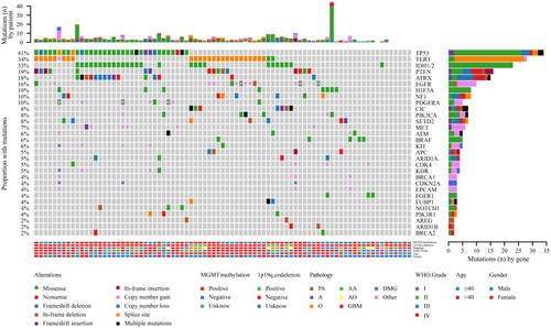 Figure 1 The landscape of genetic alterations in 75 of 83 samples (90.36%) from 81 glioma cases. Genetic mutations were identified by targeted next-generation sequencing in the tumor tissues of patients. The upper panel shows the numbers of nonsynonymous single‑nucleotide variants, small insertions or deletions and copy number variants in each tumor. The heat map below shows genes with somatic mutations sorted according to the mutation frequency. Mutations (n) is the number of mutations per gene.