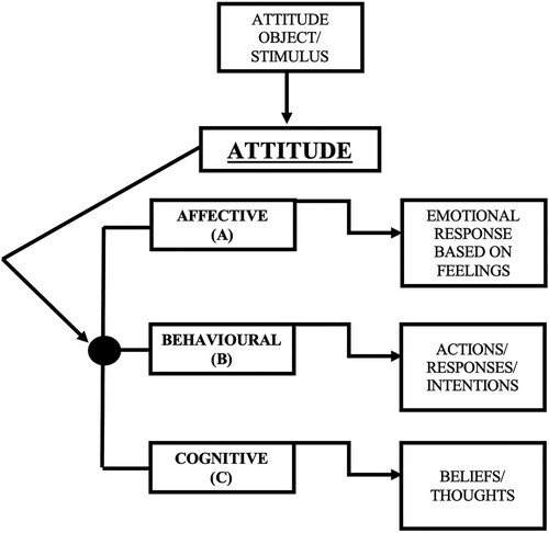 Figure 1. The three components of attitude.